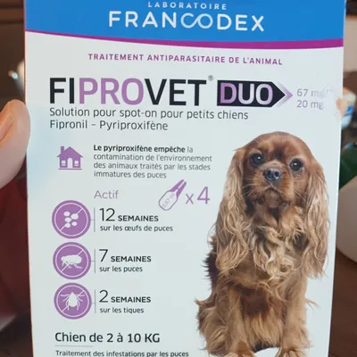 Pipettes neuves fiprovet duo puces tiques petit chien 